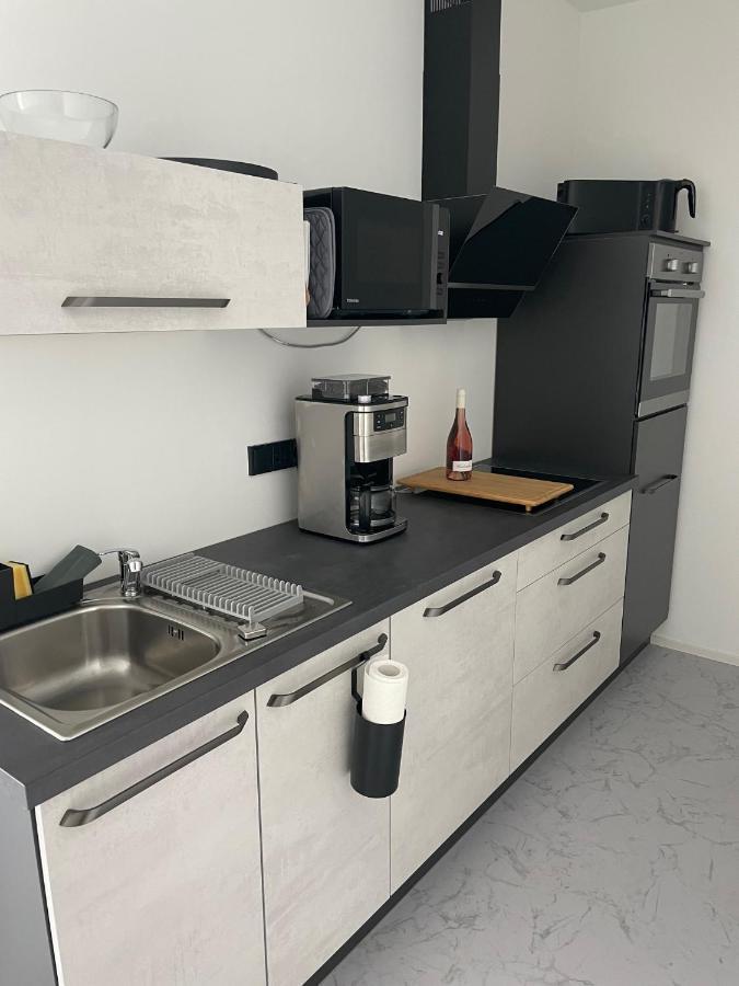 Apartments Saaldorf-Ferienhaus Mit 6 Apartments 45Qm-120Qm Direkt Am Thueringer Meer-Bleilochtalsperre Bad Lobenstein Eksteriør billede