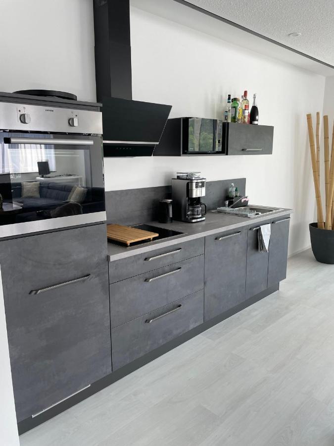 Apartments Saaldorf-Ferienhaus Mit 6 Apartments 45Qm-120Qm Direkt Am Thueringer Meer-Bleilochtalsperre Bad Lobenstein Eksteriør billede