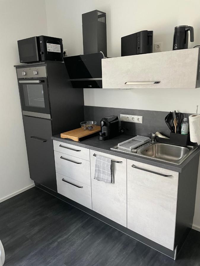 Apartments Saaldorf-Ferienhaus Mit 6 Apartments 45Qm-120Qm Direkt Am Thueringer Meer-Bleilochtalsperre Bad Lobenstein Eksteriør billede