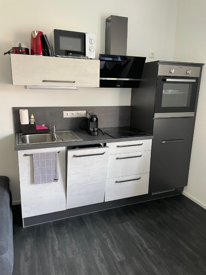 Apartments Saaldorf-Ferienhaus Mit 6 Apartments 45Qm-120Qm Direkt Am Thueringer Meer-Bleilochtalsperre Bad Lobenstein Eksteriør billede