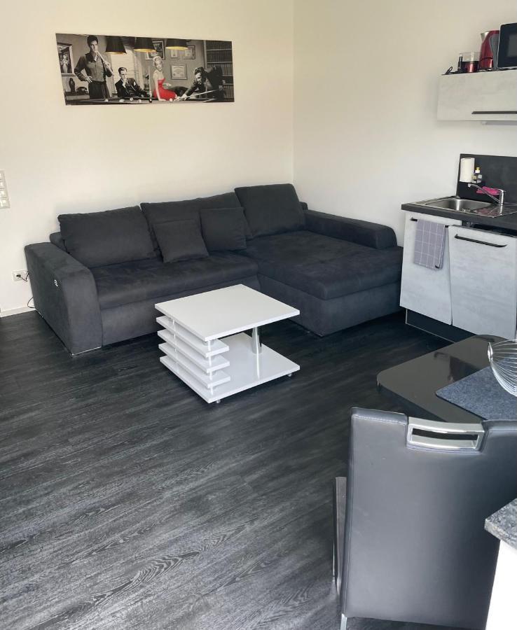 Apartments Saaldorf-Ferienhaus Mit 6 Apartments 45Qm-120Qm Direkt Am Thueringer Meer-Bleilochtalsperre Bad Lobenstein Eksteriør billede
