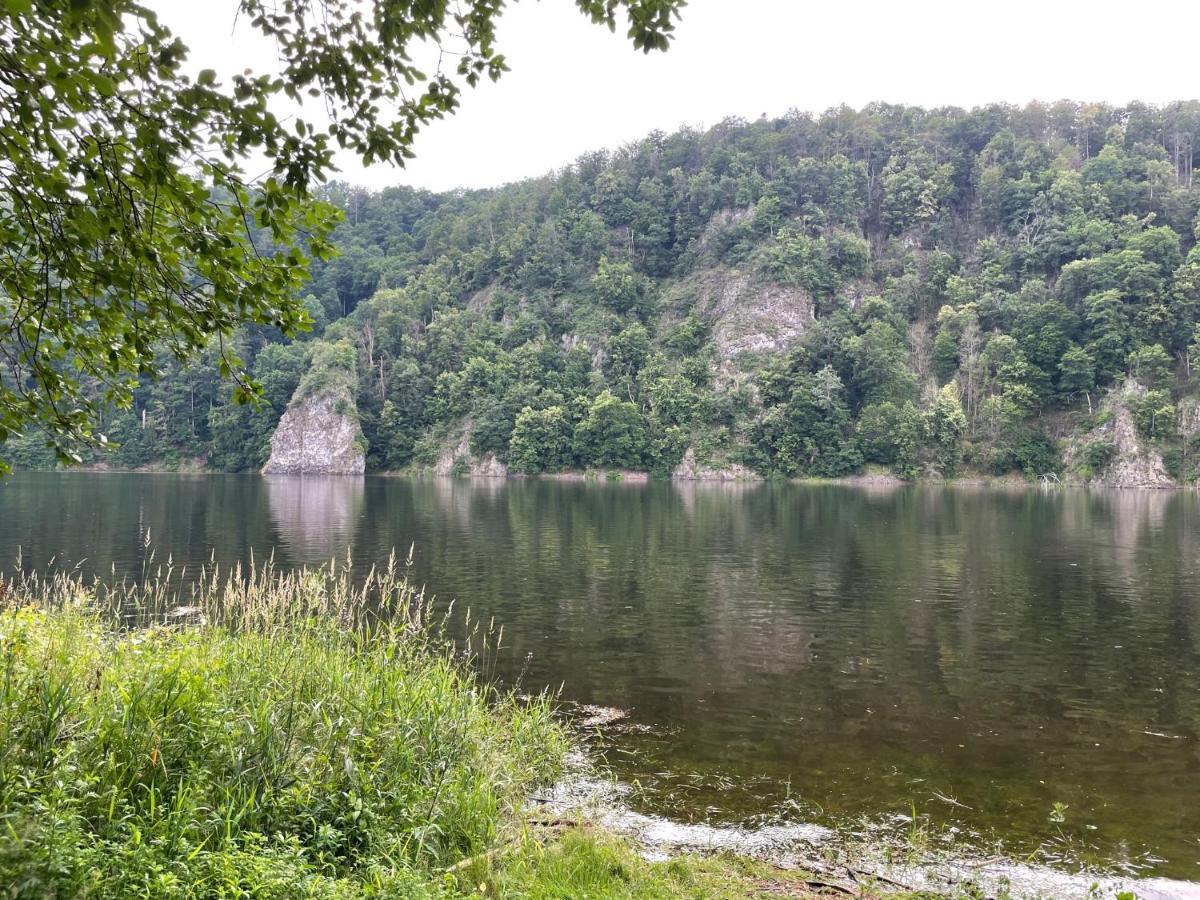 Apartments Saaldorf-Ferienhaus Mit 6 Apartments 45Qm-120Qm Direkt Am Thueringer Meer-Bleilochtalsperre Bad Lobenstein Eksteriør billede