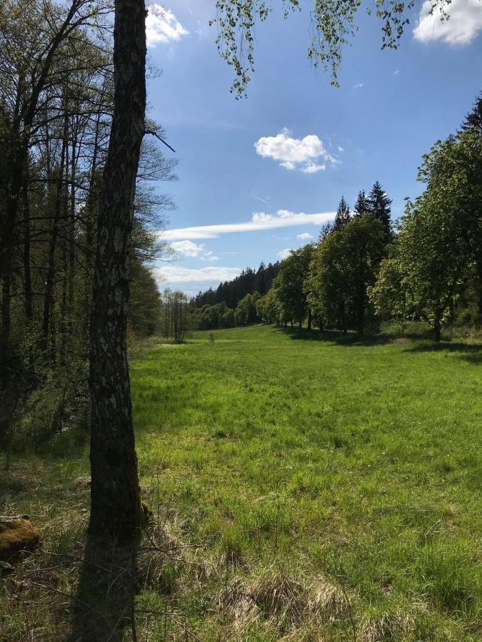 Apartments Saaldorf-Ferienhaus Mit 6 Apartments 45Qm-120Qm Direkt Am Thueringer Meer-Bleilochtalsperre Bad Lobenstein Eksteriør billede