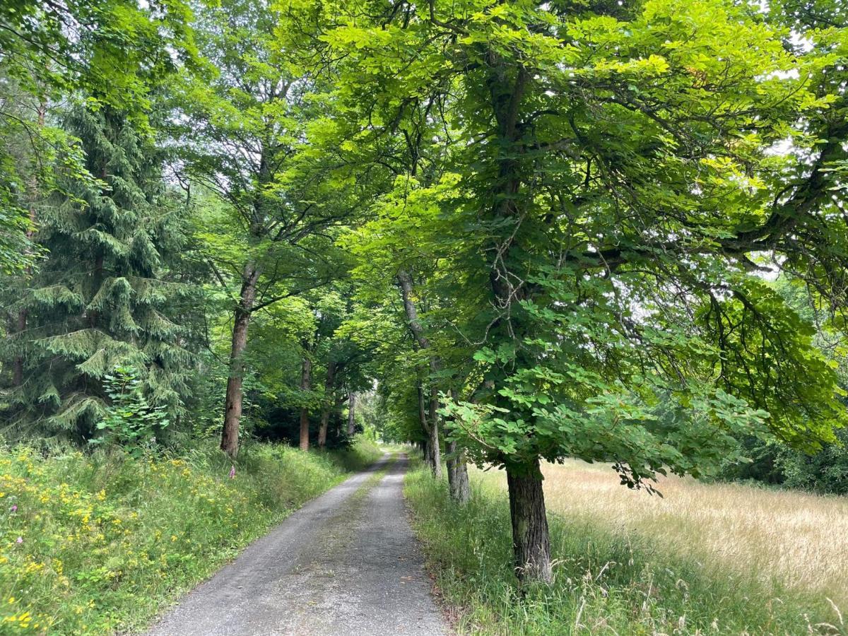 Apartments Saaldorf-Ferienhaus Mit 6 Apartments 45Qm-120Qm Direkt Am Thueringer Meer-Bleilochtalsperre Bad Lobenstein Eksteriør billede