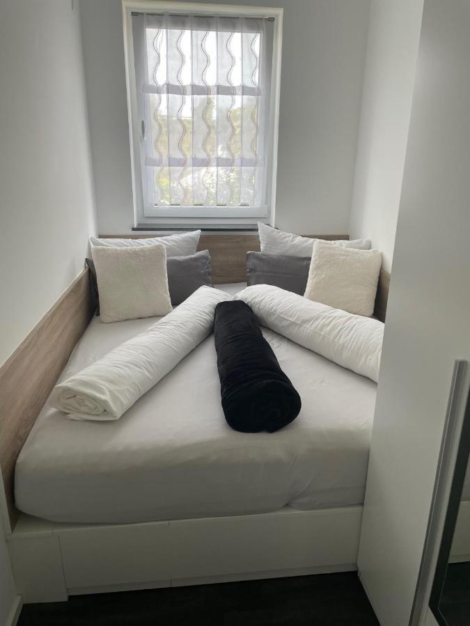 Apartments Saaldorf-Ferienhaus Mit 6 Apartments 45Qm-120Qm Direkt Am Thueringer Meer-Bleilochtalsperre Bad Lobenstein Eksteriør billede